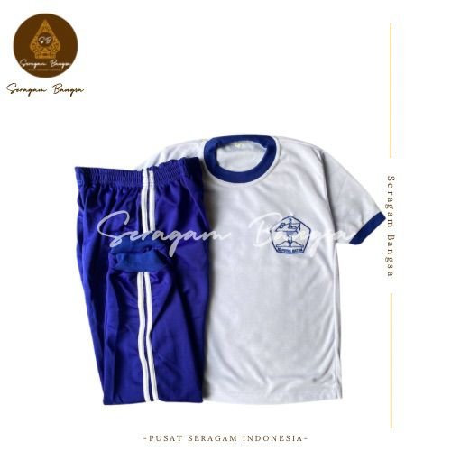 web halaman portofolio olahraga 3